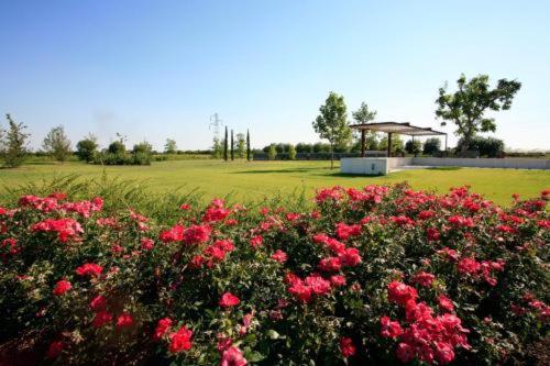 Country House Letizia Верона Екстериор снимка
